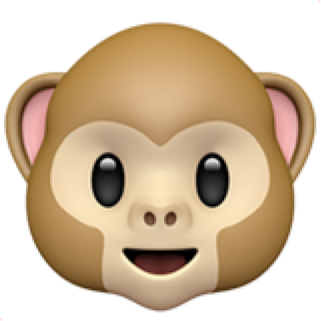 monkeyFace